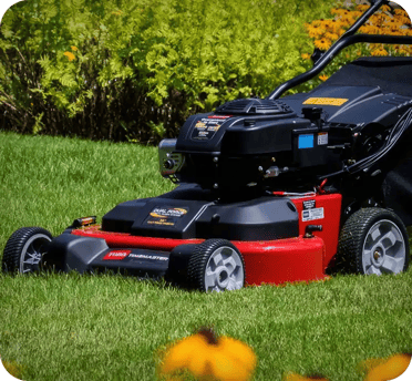 Case-Study-Toro Case-Study-Toro